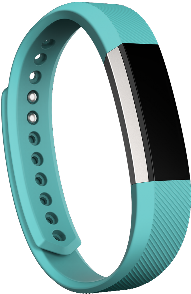 Fitbit Bracelet - Gazelle The Horn